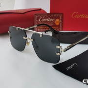 Cartier Sunglasses #999935407