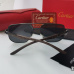 Cartier Sunglasses #999935428