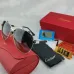 Cartier Sunglasses #B43504