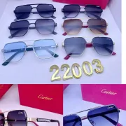 Cartier Sunglasses #B50344