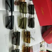 Cartier Sunglasses #B50347