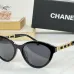 Chanel AAA+ sunglasses #B35322