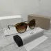 Dior Sunglasses #B43501