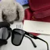 Gucci AAA Sunglasses #B39847