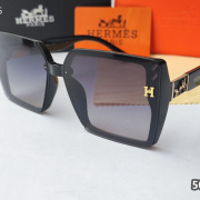 HERMES sunglasses #999935520