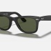 Ray-Ban polarized glasses ORIGINAL WAYFARER CLASSIC #999936038