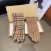 Burberry Glove #B42890