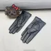 Louis Vuitton Glove #B42855