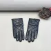 Louis Vuitton Glove #B42856