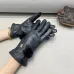 Louis Vuitton Glove #B42857