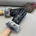 Louis Vuitton Glove #B42860