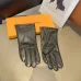 Louis Vuitton Glove #B42866