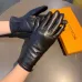 Louis Vuitton Glove #B42869