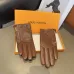 Louis Vuitton Glove #B42870