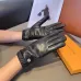 Louis Vuitton Glove #B42872