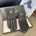 Prada Glove #B42965