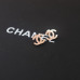 Chanel Earrings #9127888