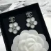 Chanel Earrings #B52865