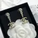 Chanel Earrings #B52867