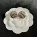 Chanel Earrings #B52872