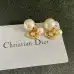 Dior Earrings #B52875