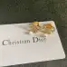 Dior Earrings #B52876