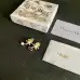 Dior Earrings #B52877