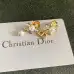 Dior Earrings #B52877