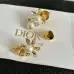 Dior Earrings #B52877