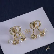 Dior earrings #B66981
