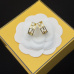 Fendi Earrings #9999926765