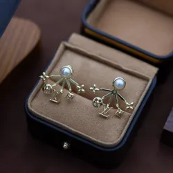 Louis Vuitton Earrings #B55897