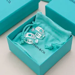 Tiffany Designer Style earrings  and  original box #B65174