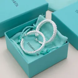 Tiffany Designer Style earrings  and  original box #B65175