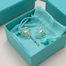 Tiffany Designer Style earrings  and  original box #B65183