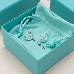 Tiffany Designer Style earrings  and  original box #B65188