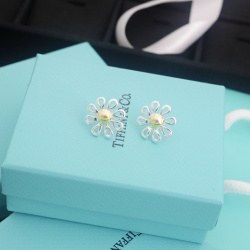 Tiffany Rings & earrings #99901844