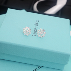 Tiffany Rings & earrings #99901845