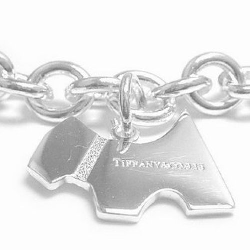 Tiffany necklaces #9127215