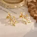 Dior Earrings #B52828