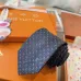 Louis Vuitton Necktie #B52403