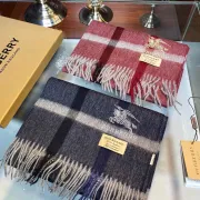 Burberry Scarfs #9130558