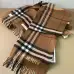 Burberry Scarfs #B42624