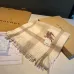 Burberry Scarfs #B42625