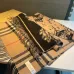 Burberry Scarfs #B42627