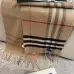 Burberry Scarfs #B42648