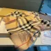 Burberry Scarfs #B42651