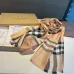 Burberry Scarfs #B42651