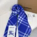 Burberry Scarfs #B42655