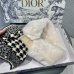 Dior Scarf #99915599